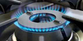 Gas Hob